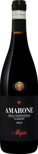 Amarone della Valpolicella DOCG Classico Allegrini, 0.75 л в Курске